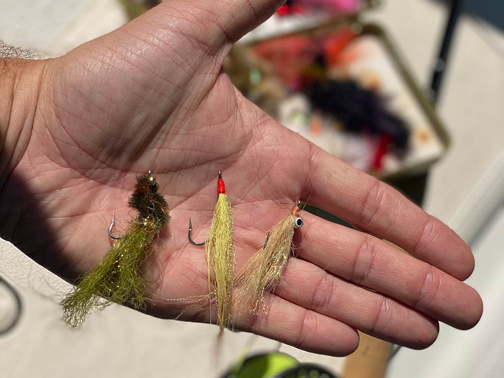 A closeup of a hand holding three flies used for fly fishing in the Everglades