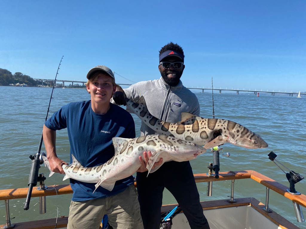 A man and a woman standing on a boat, each holding a Leopard Shark the caught while fishing from Emeryville.