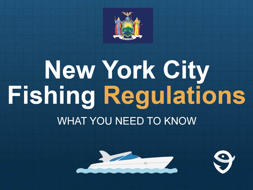 An infographic featuring the state flag of New York and the title "New York City Fishing Regulations" and text below it that says "what you need to know."