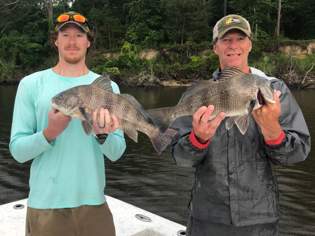 A picture showing two male anglers of different ages, both holding a freshly caught Black Drum, while standing on a boat in North Myrtle Beach, South Carolina.