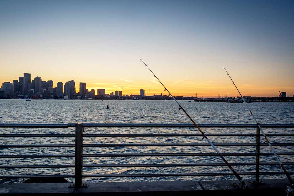 A view of Boston from a pier at sunset, with two fishing rods in the corner, their lines in the water