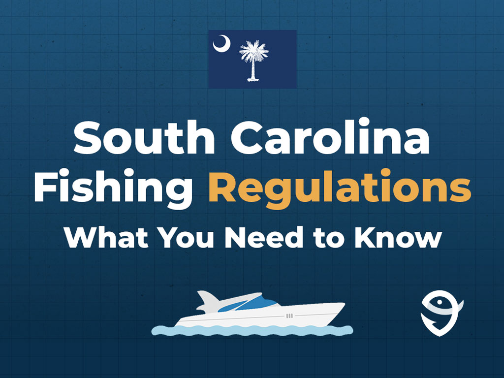 An infographic featuring the state flag of South Carolina and text that says "South Carolina Fishing Regulations, what you need to know."