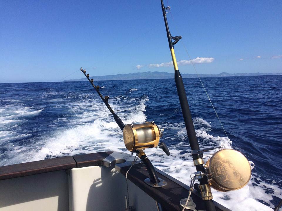 A closeup of two trolling rods and reels on an Azores fishing charter