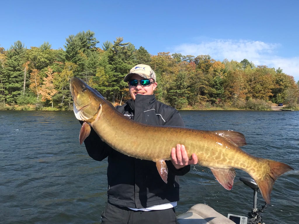 A smiling angler holds up a Muskellunge he just caught in a lake in Wisconsin.