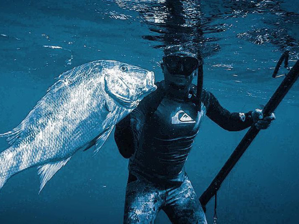 A spearfisher diving underwater and holding a Snapper he caught.