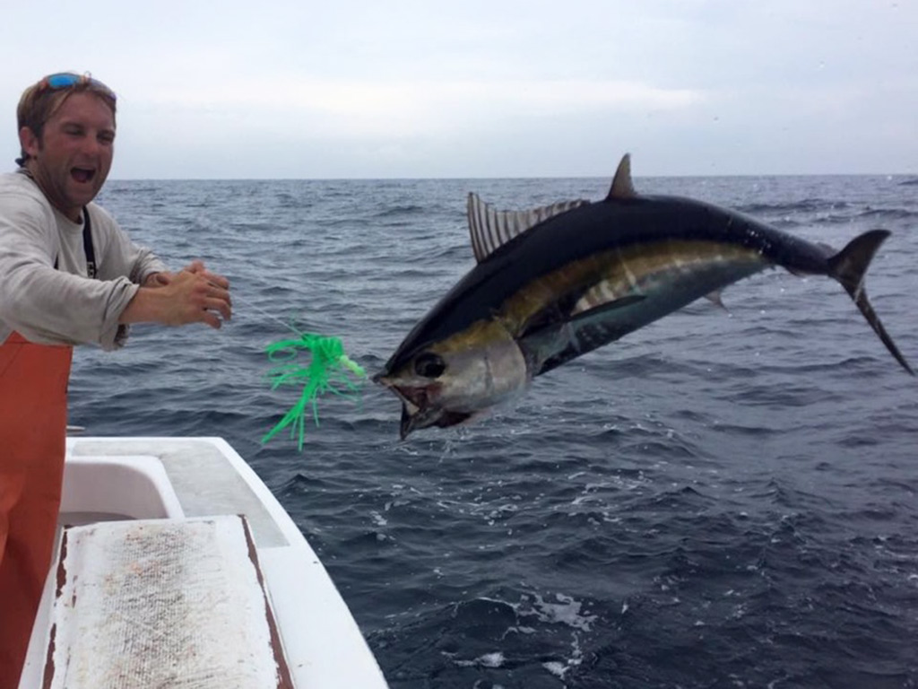 An angler dragging in a leaping Tuna on a fishing trip in the Gulf Stream.