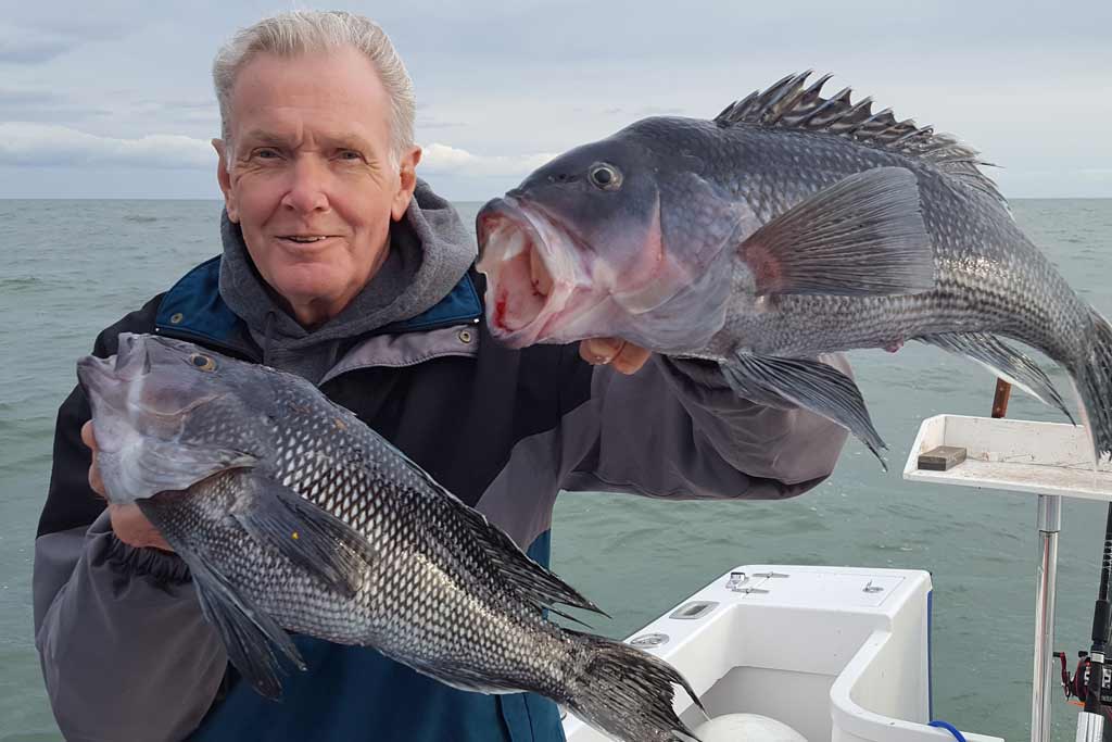 An elderly fisherman holding two Black Seabass while standing on a boat