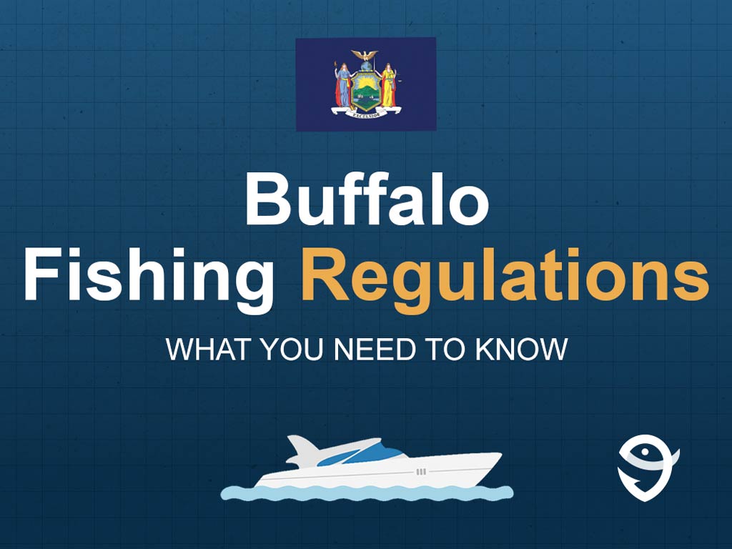 An infographic including the New York state flag and a vector of a boat, with text stating "Buffalo Fishing Regulations: What You Need to Know" against a blue background with the FishingBooker logo in the bottom-right corner