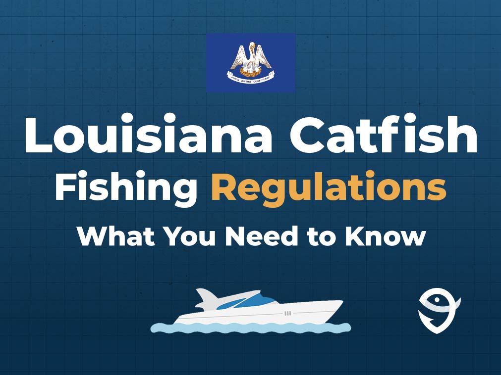 An infographic including the Louisiana state flag and a vector of a boat, with text stating "Louisiana Catfish Fishing Regulations: What You Need to Know" against a blue background