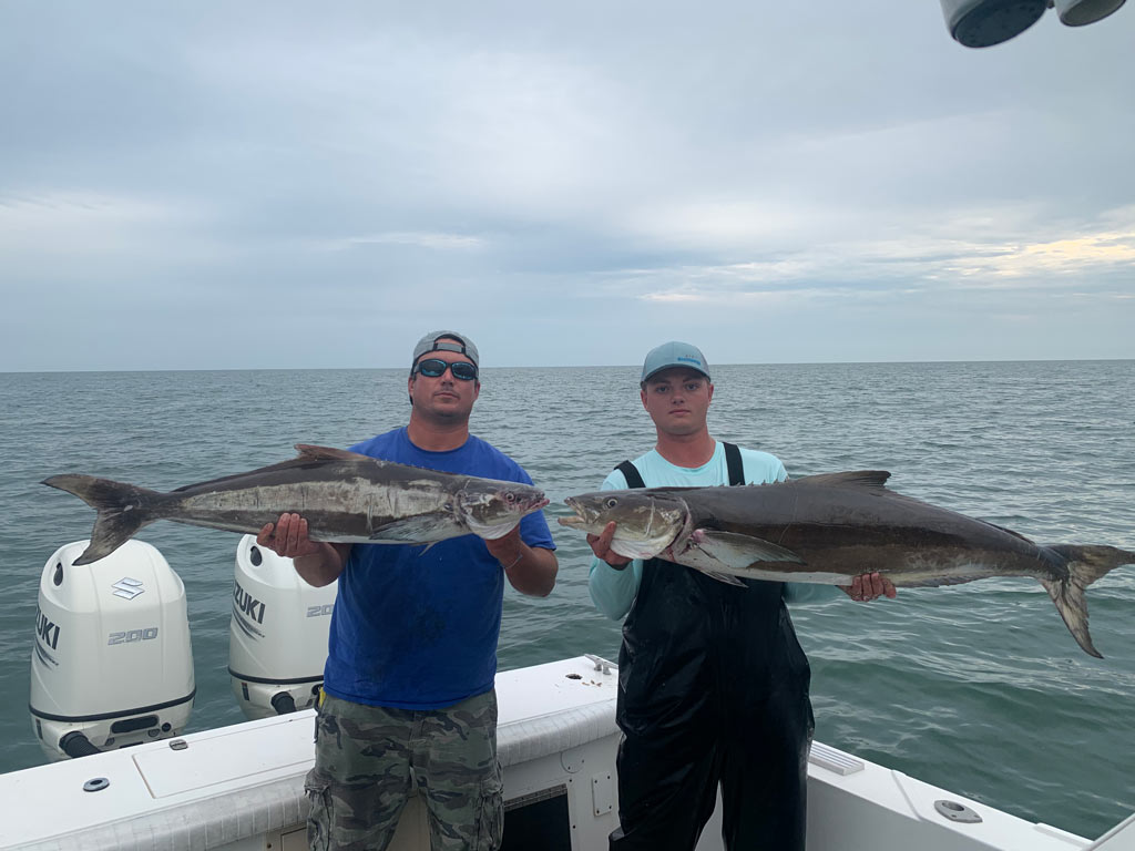 Two anglers standing on a boat, each holding a big Cobia on a cloudy day.