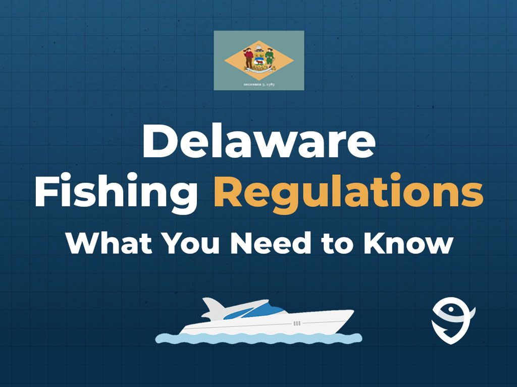 An infographic featuring the state flag of Delaware with text that says "Delaware fishing regulations, what you need to know."