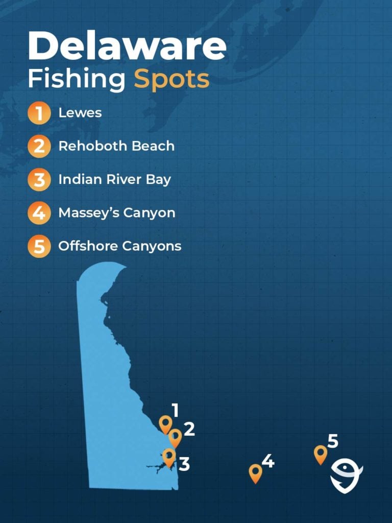 An infographic listing some of Delaware's fishing spots including Lewes, Rehoboth Beach, Indian River Bay, Massey's Canyon, and the Hotdog.