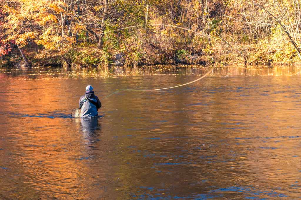 A fly fisherman caught mid-cast, while wading in a river in Connecticut