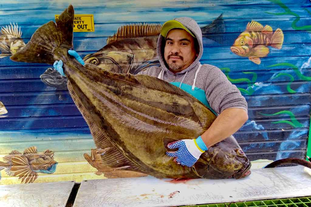 A man in a hoodie holding a Halibut, with a colorful wall behind him