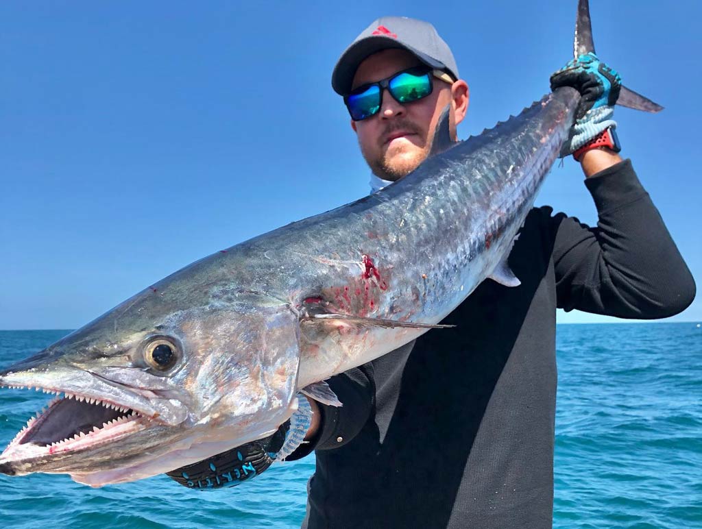 A closeup photo of a King Mackerel being held by an angler, with the water behind them. 