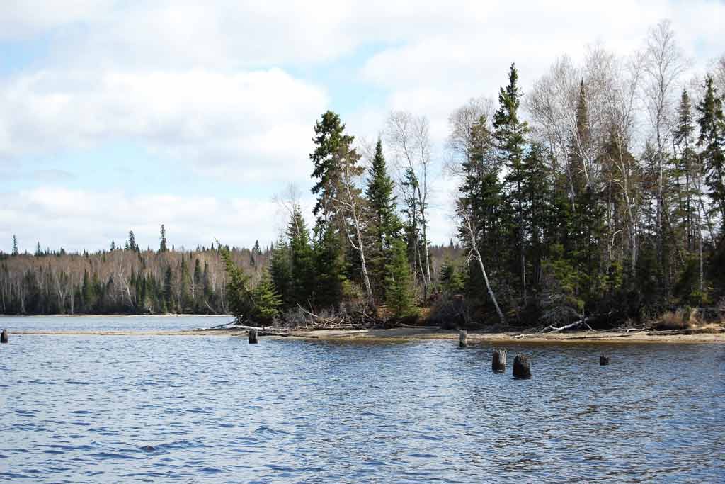 A view from the water of the Lac Seul shore