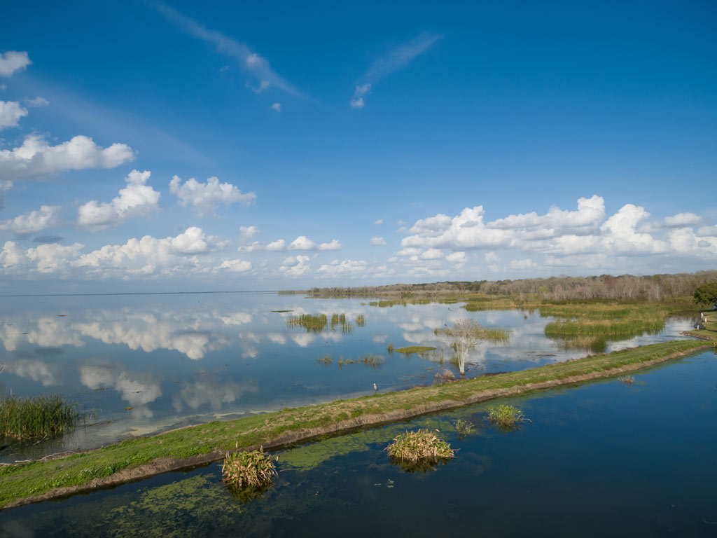 An aerial photo of Lake Apopka, one of the Bass fishing lakes near Orlando.