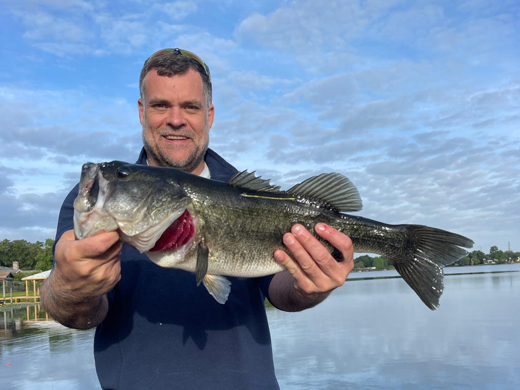 An angler holding a sizeable Largemouth Bass unprotected fishing in one of the lakes near Orlando.