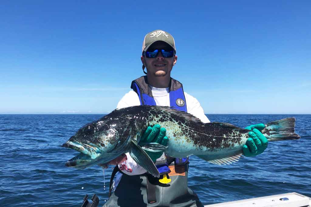 A smiling fisherman in a cap and sunglasses holding a big Lingcod, blue skies and water in the background