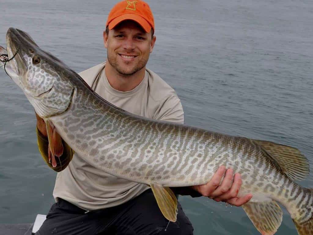 An angler in an orange cap smiling and sitting on a charter boat while holding a big Musky