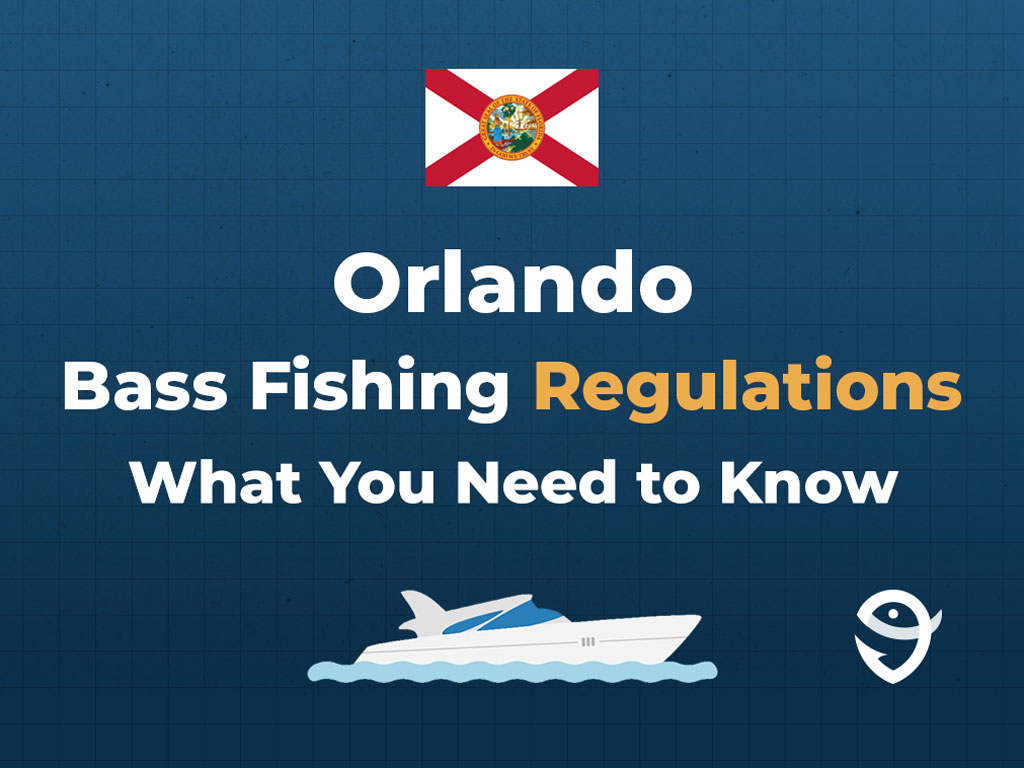 An infographic image featuring the flag of Florida and text that says "Orlando Bass fishing regulations, what you need to know."