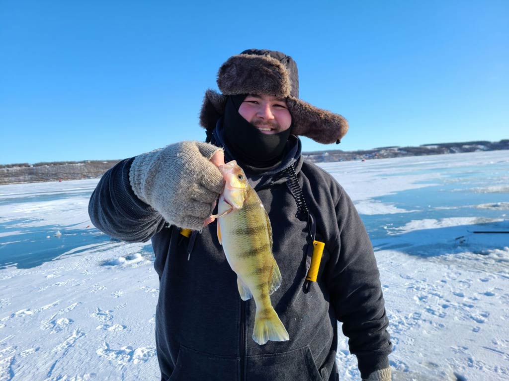 A photo of an angler all bundled up in winter clothes standing on a frozen and snow-covered lake holding small Perch