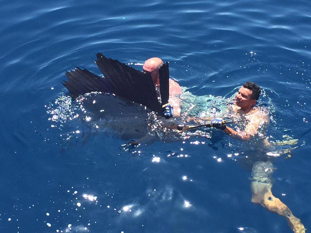 Two men in the water, swimming with a Sailfish in Costa Rica.