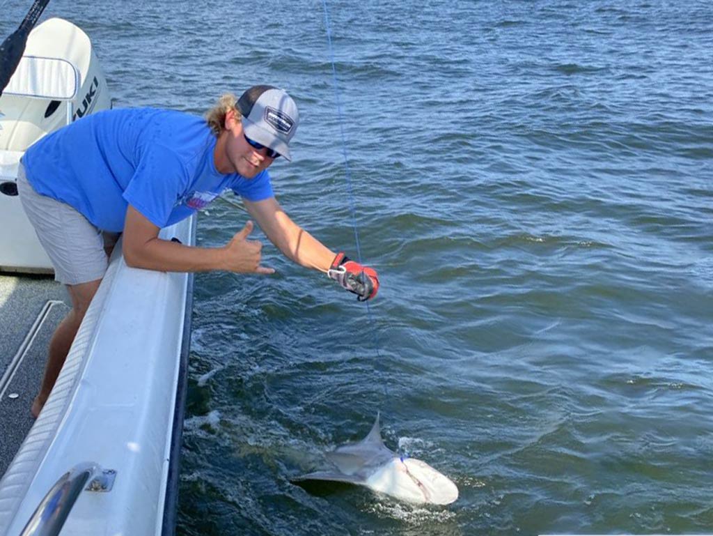 A view from the side of a boat of an angler holding a line with one hand and pulling a Shark toward the boat