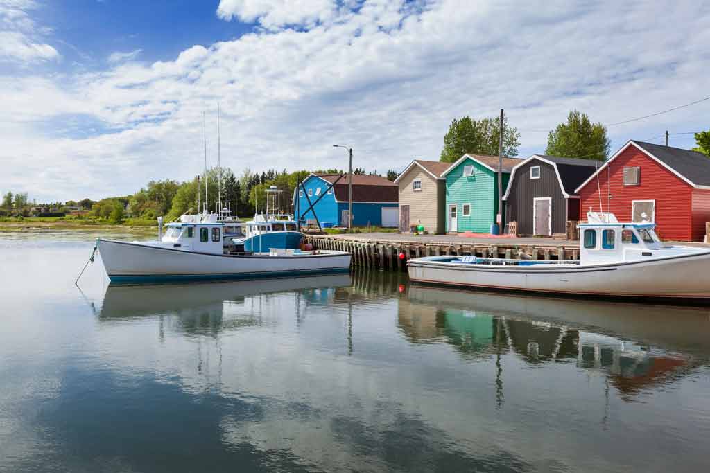 A view of the St. Peters Bay marina from the water