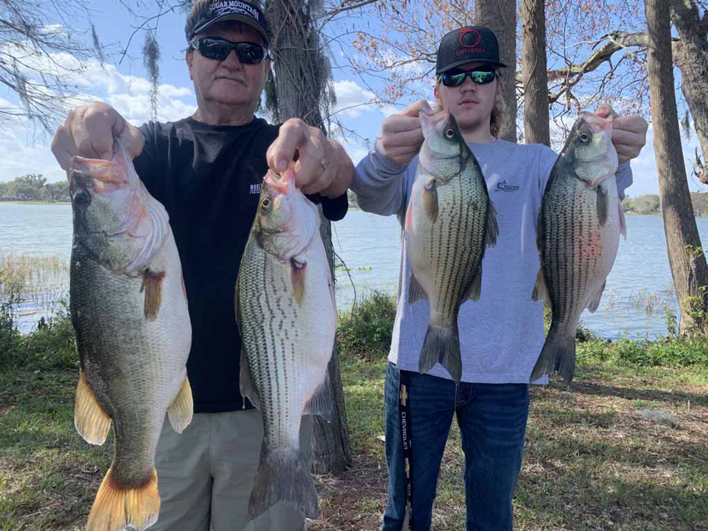 Two anglers posing for a photo, each holding two Bass, there is one Largemouth Bass and three Sunshine Bass in total.