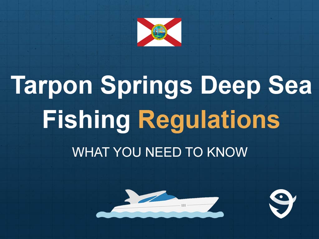 An infographic including the Florida state flag and a vector of a boat, with text stating "Tarpon Springs Deep Sea Fishing Regulations: What You Need to Know" against a blue background with a FishingBooker logo in the right bottom corner