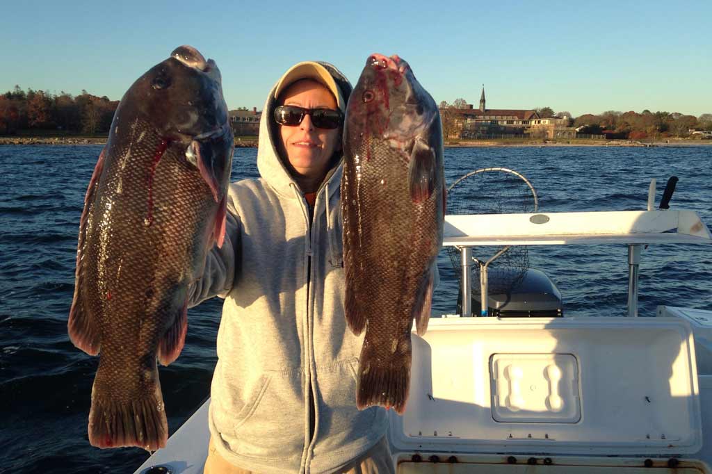 A man in sunglasses and a hoodie holding two big Tautog, with the water and shore in the background