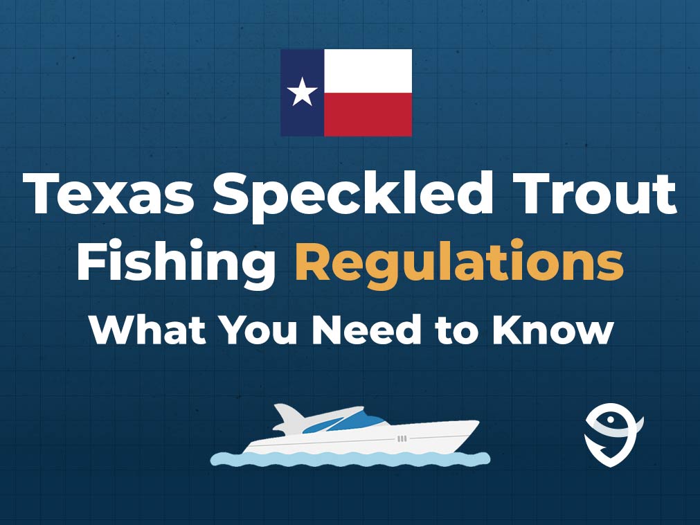 How to Fish for Speckled Trout in Texas The Complete Guide (Updated 2023)