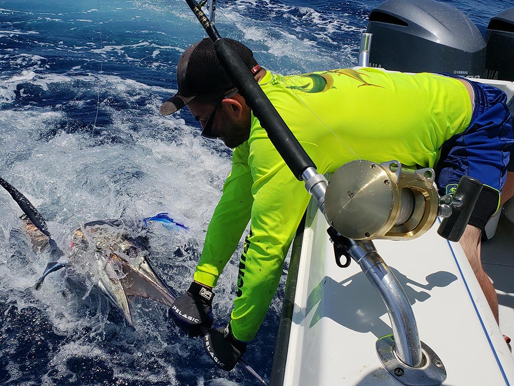 An angler leans over the side of a boat to hold the bill of a fish he just caught on a deep sea trip.