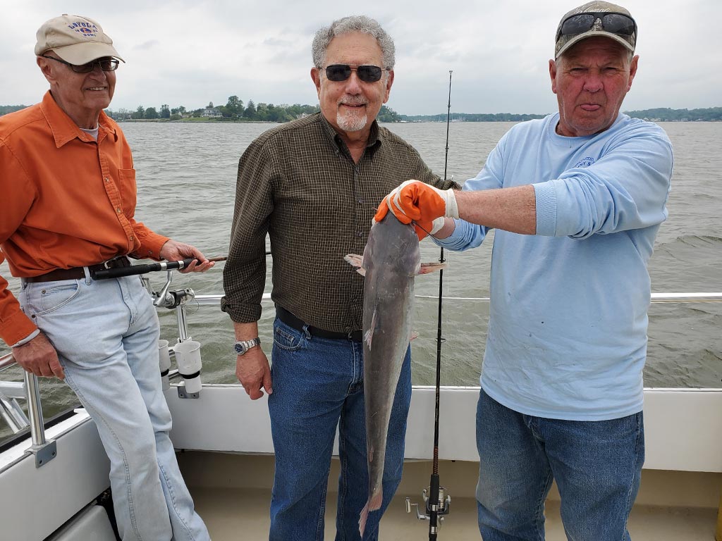 Three older anglers on a fishing boat posing with a Catfish just caught near Annapolis