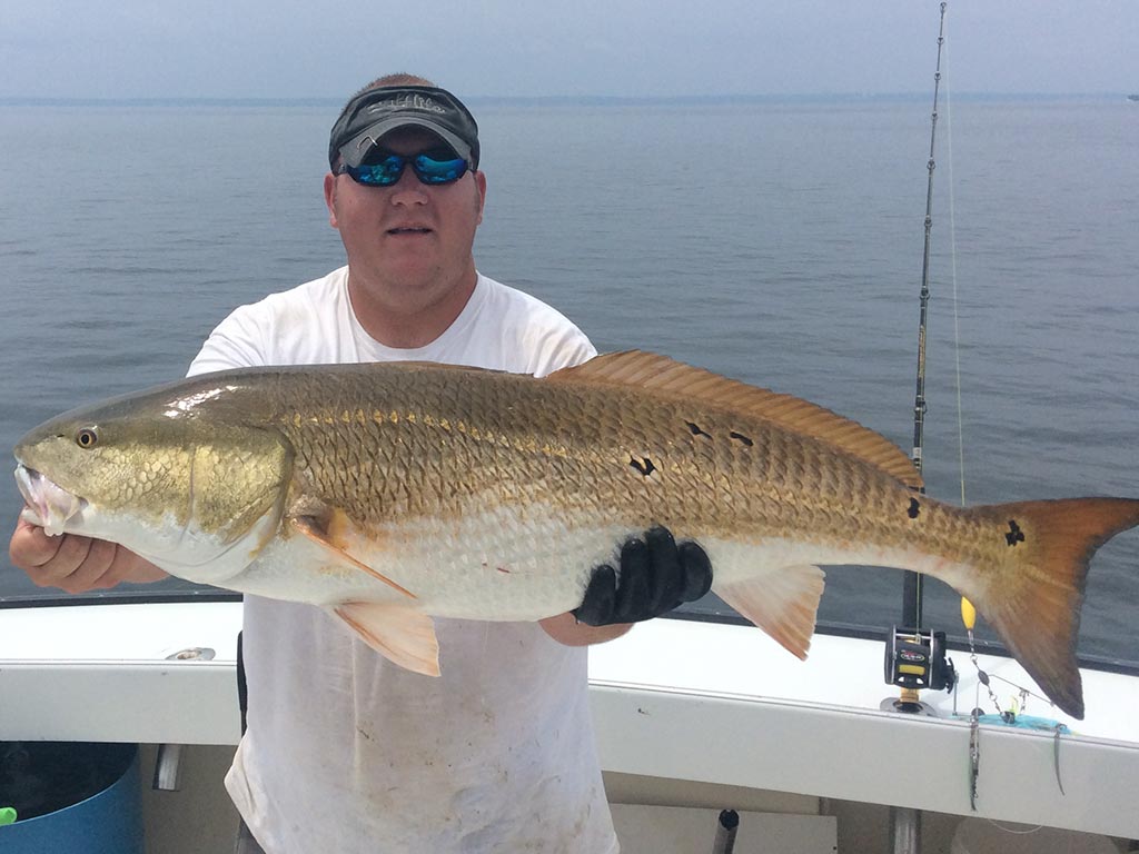 An angler holds a big Bull Redfish recently caught in the Chesapeake Bay near Annapolis.