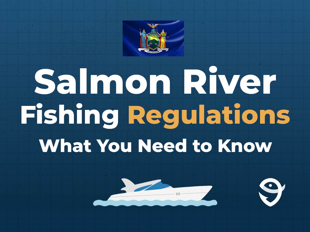 An infographic showing the NY state flag and text stating "Salmon River Fishing Regulations: What You Need to Know" against a blue background