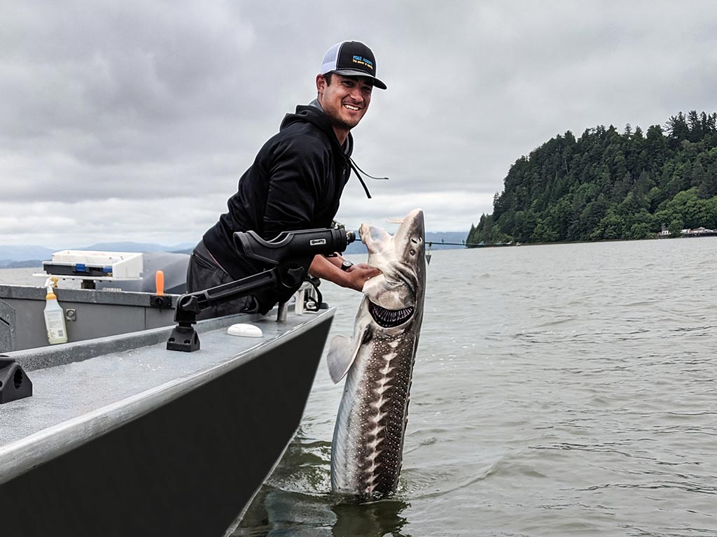 A smiling angler leans on the side of a boat to hold a Sturgeon he just caught somewhere near Astoria.