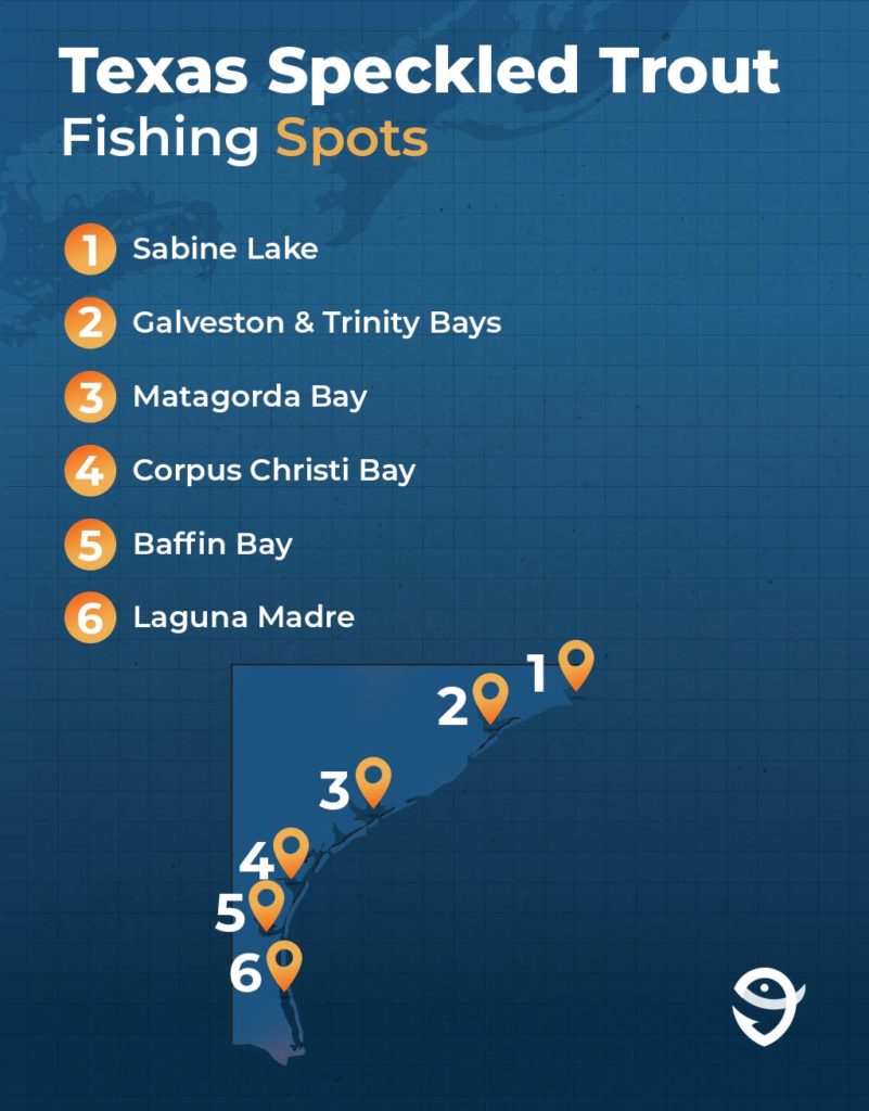 An infographic showing a map of Texas's Gulf coast with six of the best Speckled Trout fishing spots marked, such as Sabine Lake, Galveston Bay, Laguna Madre, and more.