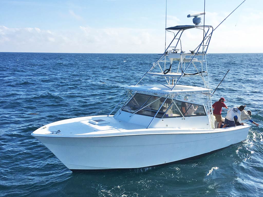 Key West Fishing The Complete Guide (Updated 2023)