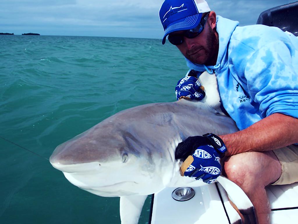 Image of a man with a Shark at the side of the boat in the Florida Keys