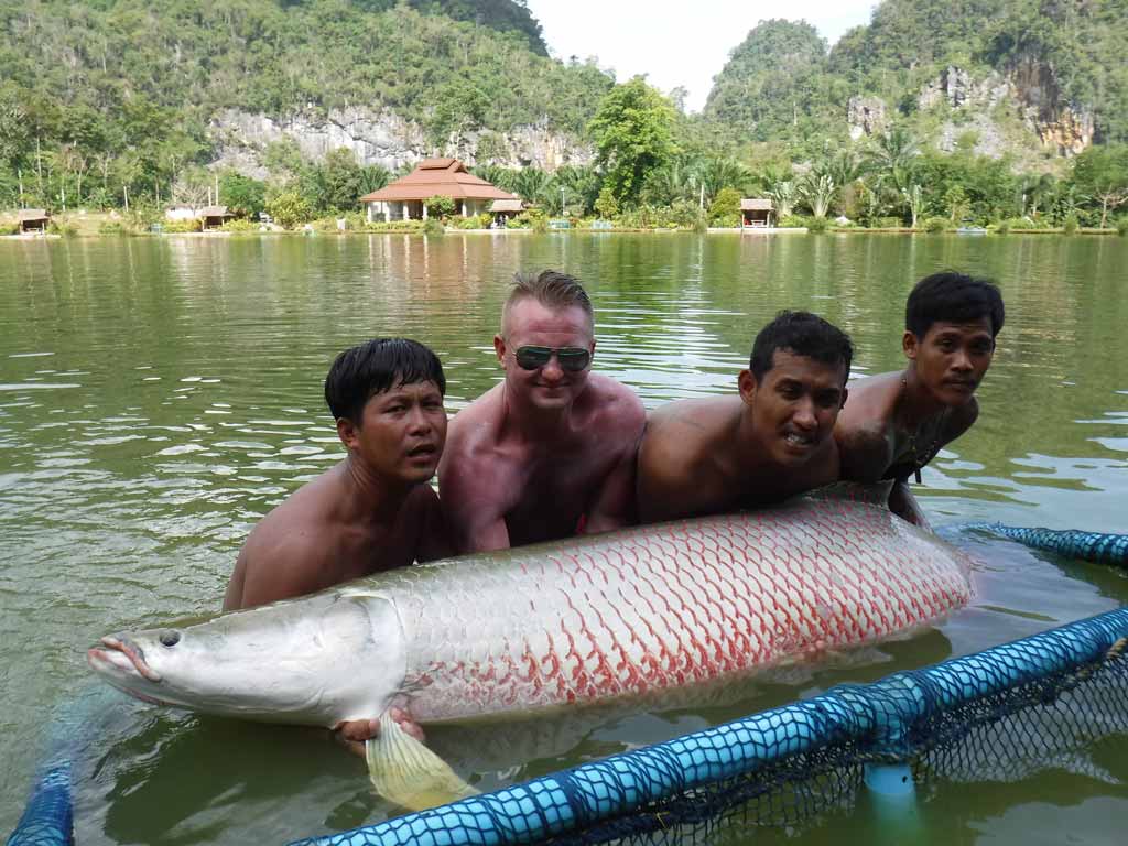 Four men posing for a photo while chest-deep in a lake, as they're getting ready to release a big Arapaima with the assistance of a large landing net.