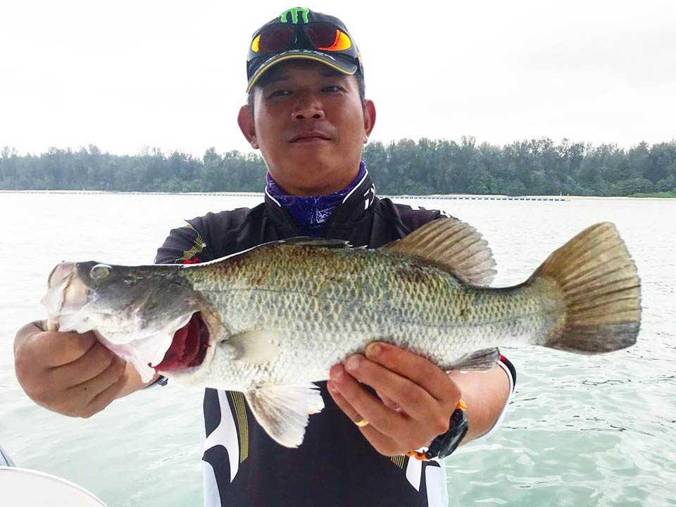 An angler in a baseball cap, standing on a boat and holding a Barramundi caught fishing in Singapore on a cloudy day