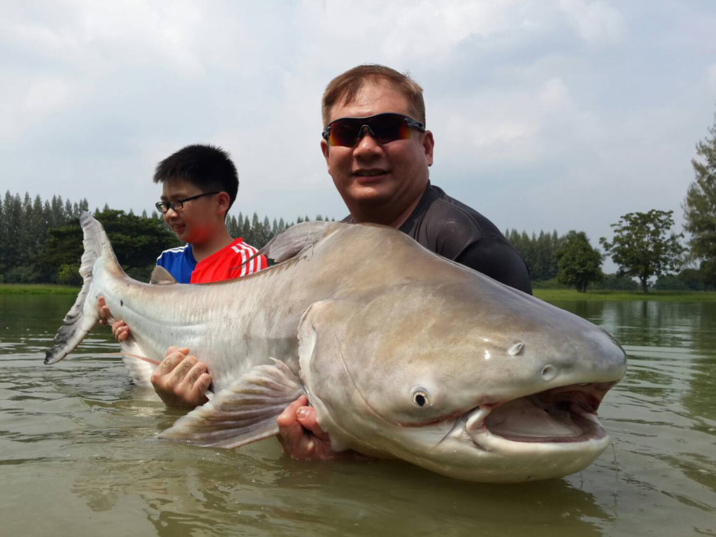 An angler and a child holding a Giant Mekong Catfish while chest-deep in the water, with some greenery behind them.