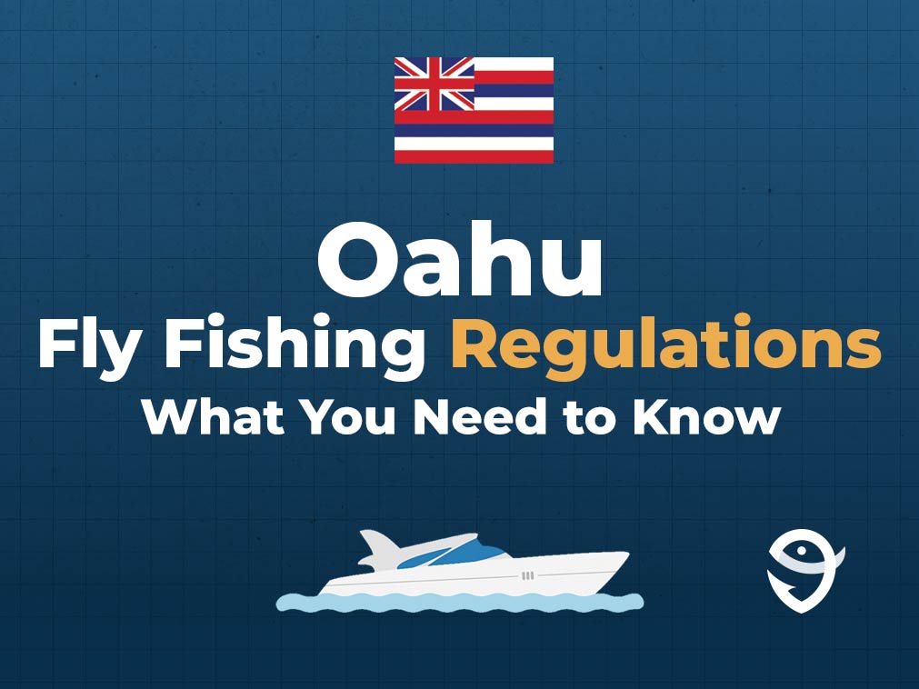 An infographic featuring the Hawaii state flag, a vector of a boat, and the FishingBooker logo, and text stating "Oahu Fishing Regulations: What You Need to Know" against a blue background