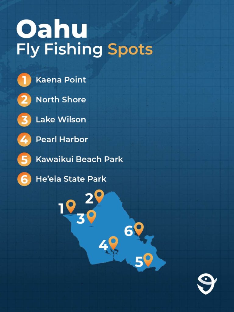 An infographic featuring a map of Oahu and the FishingBooker logo, showing fly fishing spots around the island including Lake Wilson, the North Shore, and Pearl Harbor, against a blue background