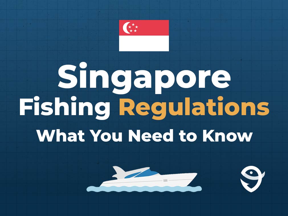 An infographic featuring the flag of Singapore and Illinois, an image of a boat, and text that says "Singapore Fishing Regulations: What You Need to Know" against a dark blue background