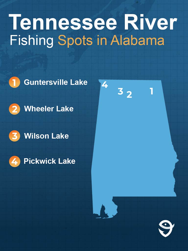 An infographic featuring the FishingBooker logo and a map of Alabama showing some of the best Tennessee River fishing spots including Guntersville Lake, Wheeler Lake, Wilson Lake, and Pickwick Lake against a dark blue background