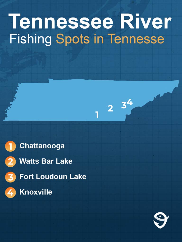 An infographic featuring the FishingBooker logo and a map of Tennessee, showing some of the best Tennessee River fishing spots including Chattanooga, Watts Bar Lake, Fort Loudoun Lake, and Knoxville against a dark blue background