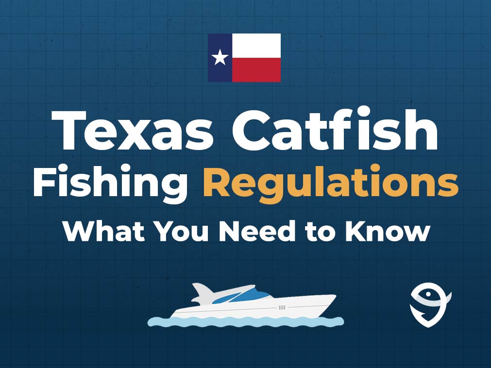 An infographic featuring the Texas state flag, a vector of a boat, and text that says "Texas Catfish Fishing Regulations: What You Need to Know" against a dark blue background